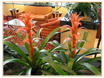 Marriott International