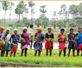 Rajasthan Indien Reise