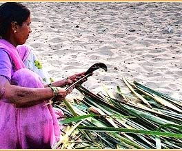 Rajasthan Indien Reise