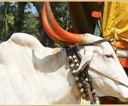 Uttarakhand Indiens