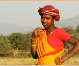 Rajasthan Indien Reise