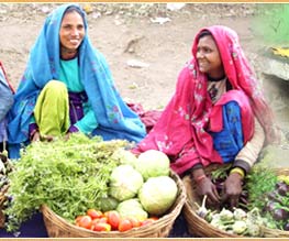 Rajasthan Indien Reise