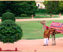 Rajasthan Indien Reise