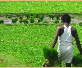 Rajasthan Indien Reise