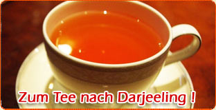 Zum Tee nach Darjeeling