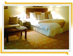 Hotel the Claridges
