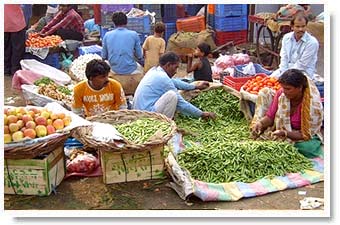 Fruit Market