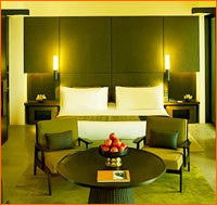 Hotels in Delhi
