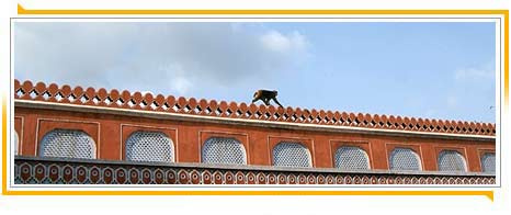 Jaipur
