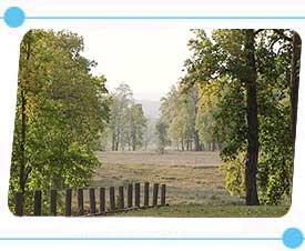 Kanha National Park