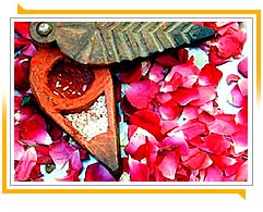 Traum Hotels in Rajasthan