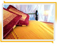 Traum Hotels in Rajasthan