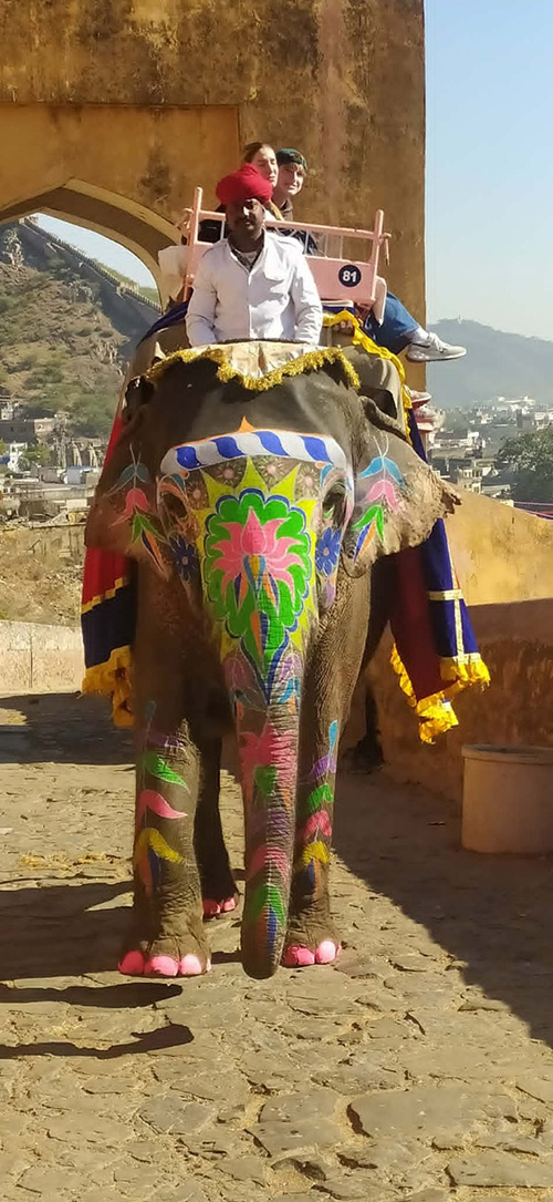 Rajasthan Indien Reise