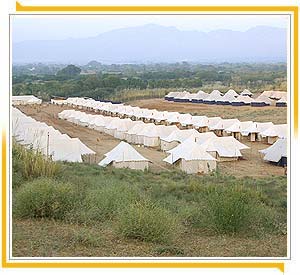 Pushkar Tent