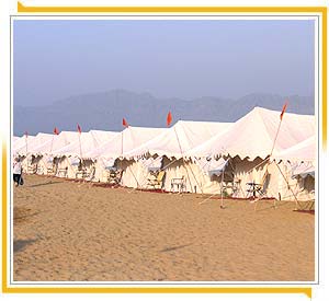 Tents in Pushkar