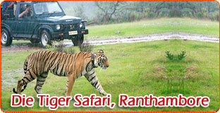 Die Tiger Safari