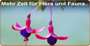 Flora and Fauna