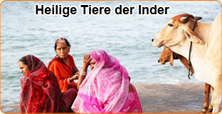 heilige-tiere