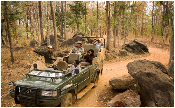 Die Rundreise 'Indiens Goldenes Dreieck' mit Tiger Safari in Zentralindien