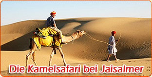 Kamelsafari Jaisalmer
