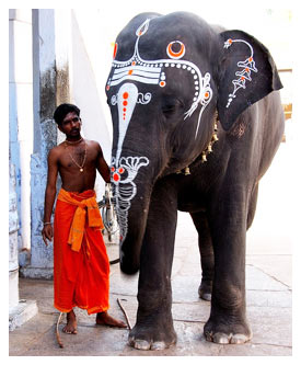 Kanchipuram Tamil