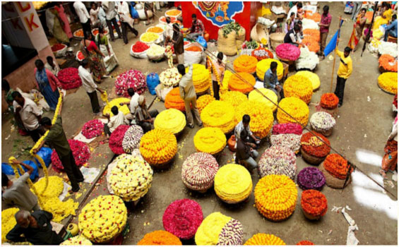 Karnataka von seiner schnsten Seite in Sdindien