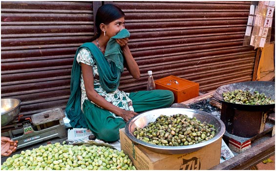 Madhya Pradesh Reise - Kaleidoskop der Kulturen