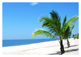 Mararikulam (Marari) Beach bei Alleppy