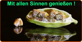 Mit Allen Sinnen