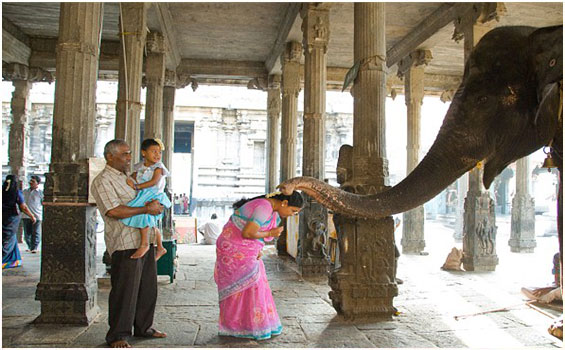 Tiruvannamalai Reise in Tamil Nadu Sdindien