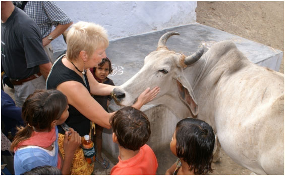 Rundreise  durch lndliche Rajasthan rund um das Goldene Dreieck indiens