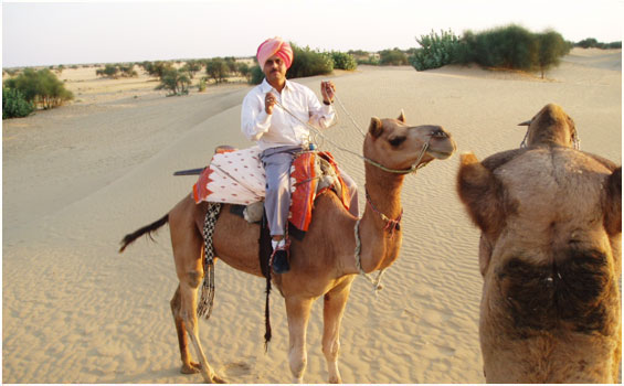 Wüste Thar  Reise in indien