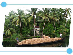 Alleppey Beach