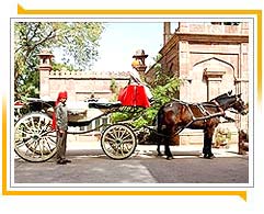 Hotel Bal Samand Palace, Jodhpur