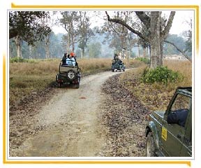 Jim Corbett Nationalpark