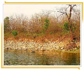 Jim Corbett Nationalpark