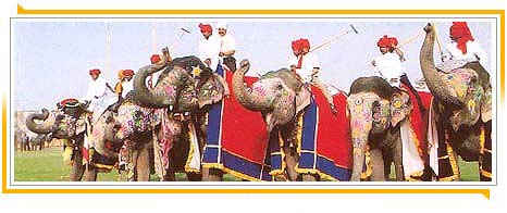 Elefanten Fest in Jaipur