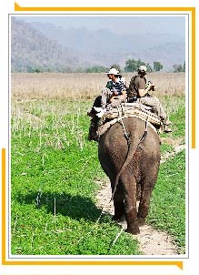 Jim Corbett Nationalpark