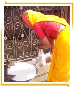 Karni Mata Temple