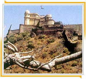 Kumbalgarh