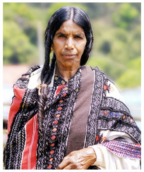 Nilgiri Women