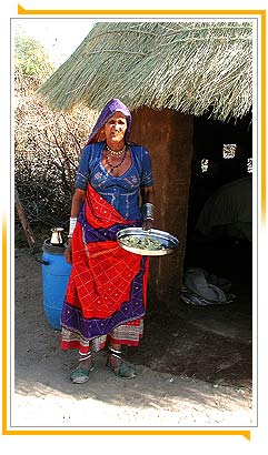 Old Lady - Bishnoi