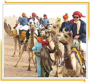 Camel Safari