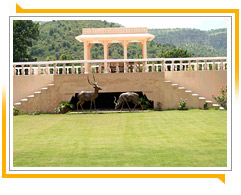 Dev Vilas, Ranthambhore