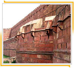 Red Fort - Agra