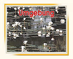 Umgebung